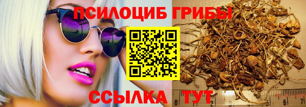 Псилоцибиновые грибы мухоморы Карабулак